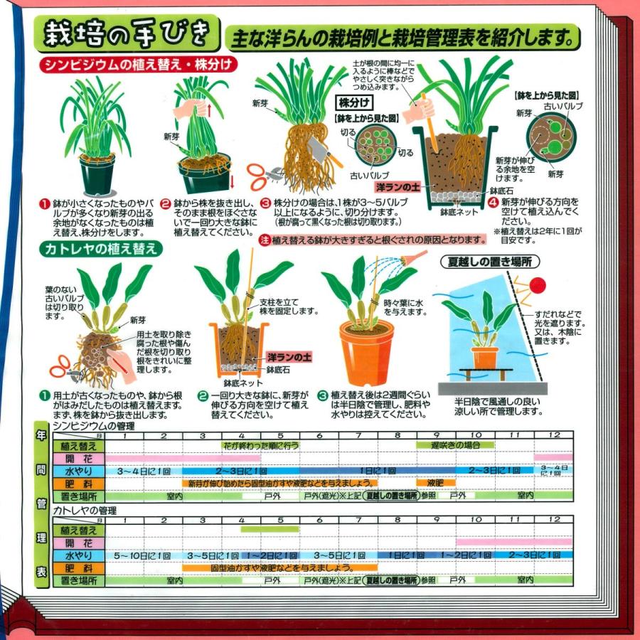 洋らんの土　６Ｌ |  | 02