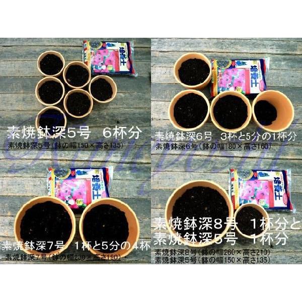 洋らんの土　６Ｌ |  | 04