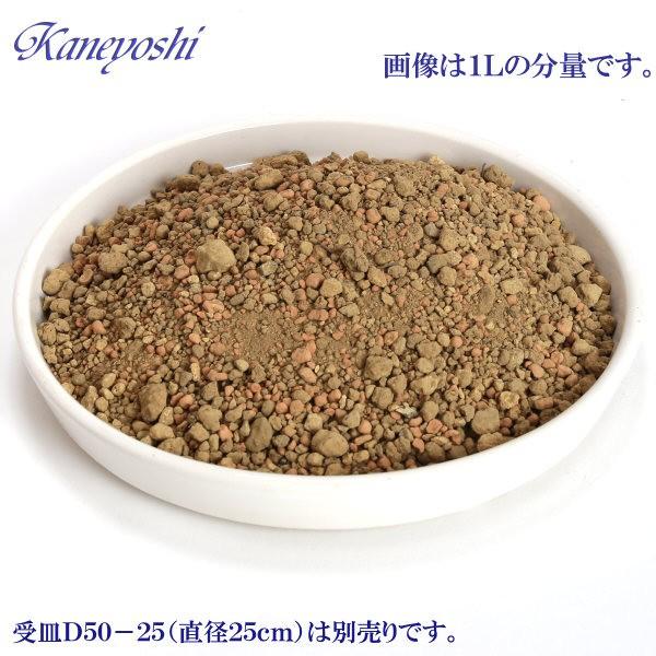 鉢・プランターで育てる　水生植物の土 ６Ｌ 元肥入り、ｐＨ調整済み |  | 01