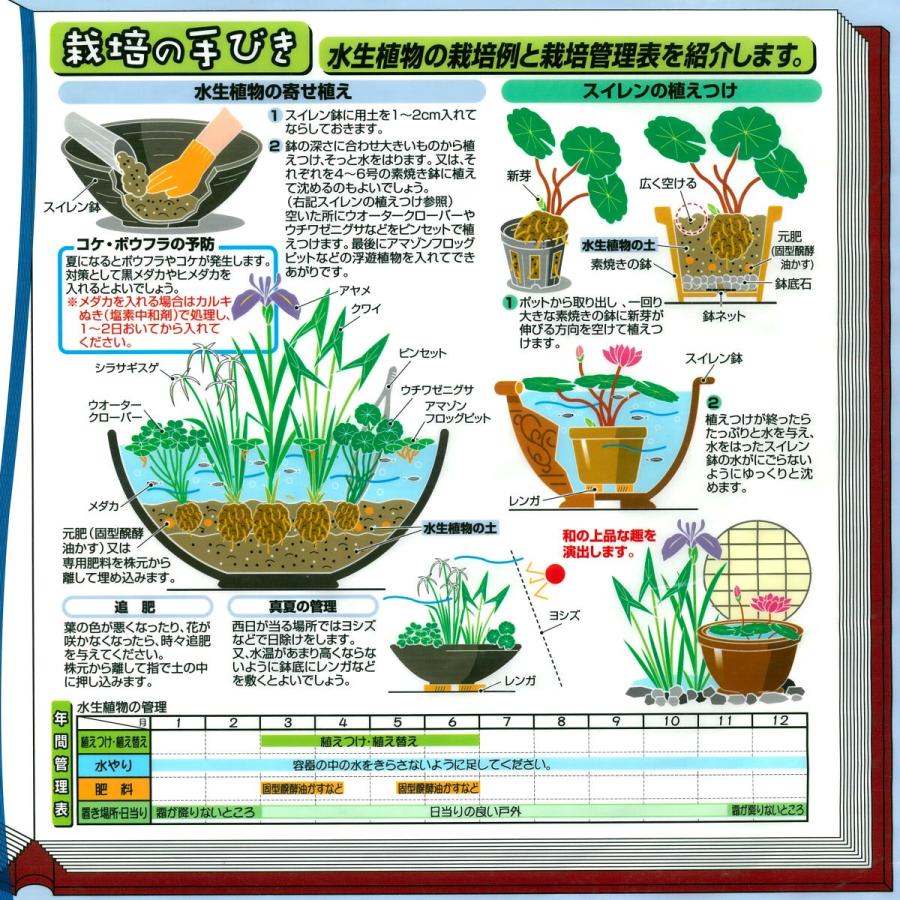 鉢・プランターで育てる　水生植物の土 ６Ｌ 元肥入り、ｐＨ調整済み |  | 02