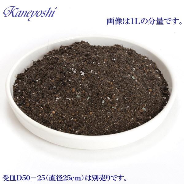 室内・ベランダの土　６Ｌ |  | 01