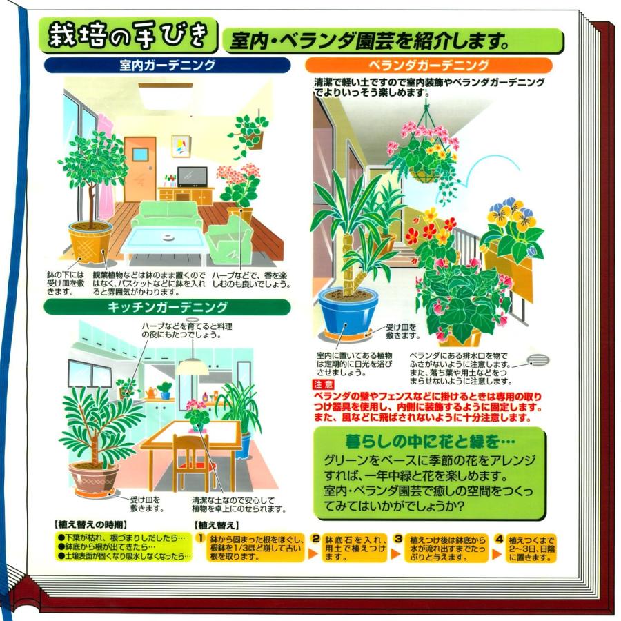 室内・ベランダの土　６Ｌ |  | 02