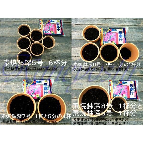 室内・ベランダの土　６Ｌ |  | 04