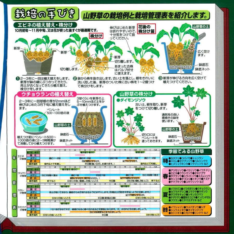 山野草の土　６Ｌ |  | 02