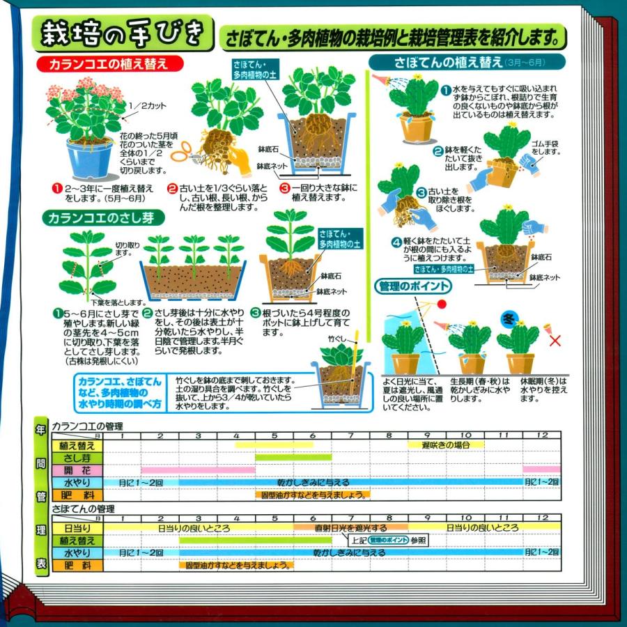 さぼてん・多肉植物の土　６Ｌ |  | 02