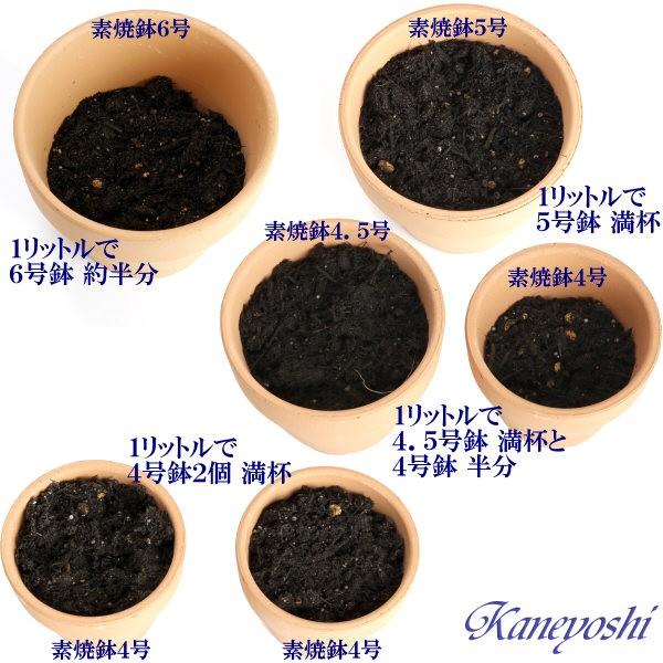 さぼてん・多肉植物の土　６Ｌ |  | 05