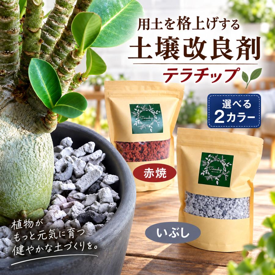用土を格上げする土壌改良剤 テラチップ Ｍ いぶし 600ml | 