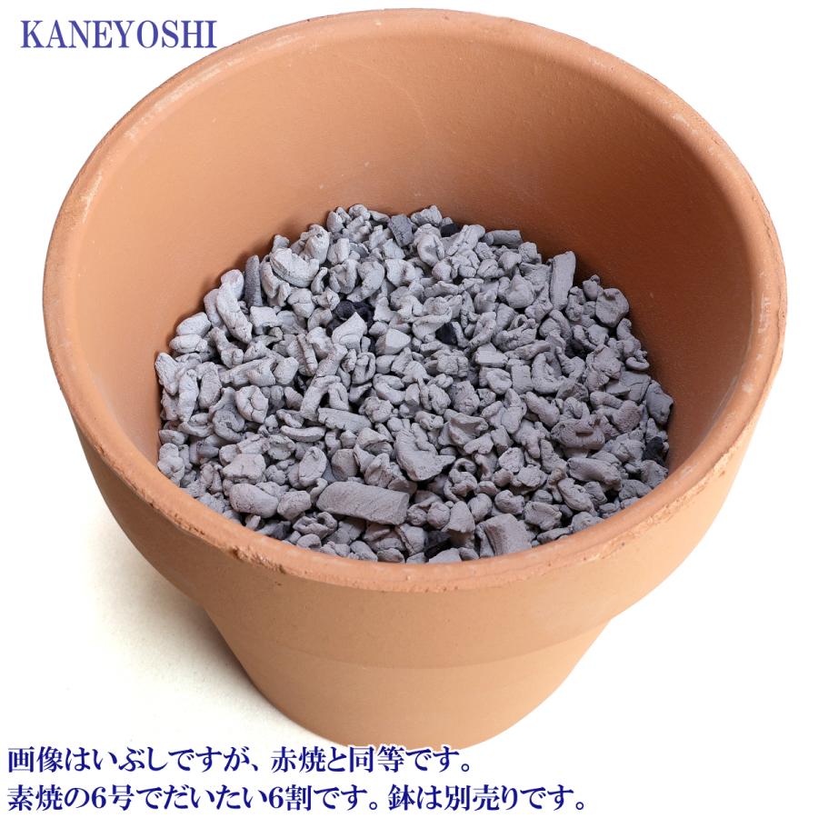 用土を格上げする土壌改良剤 テラチップ Ｍ いぶし 600ml |  | 08