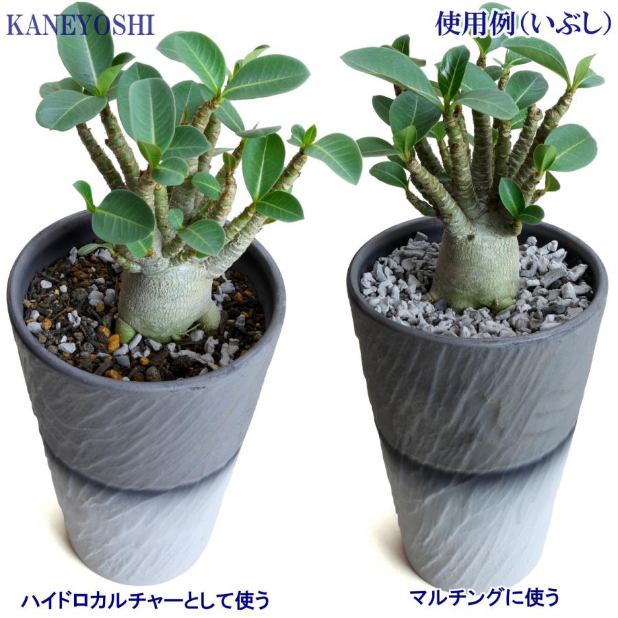 用土を格上げする土壌改良剤 テラチップ Ｍ いぶし 600ml |  | 09