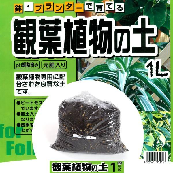 Seal限定商品 観葉植物の土 １ｌ 新作