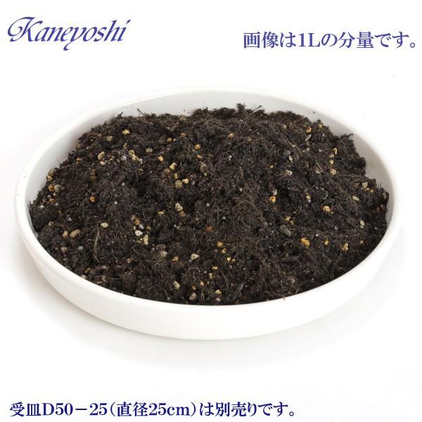 観葉植物の土　６Ｌ |  | 01