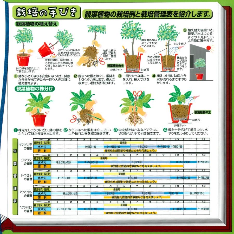観葉植物の土　６Ｌ |  | 02