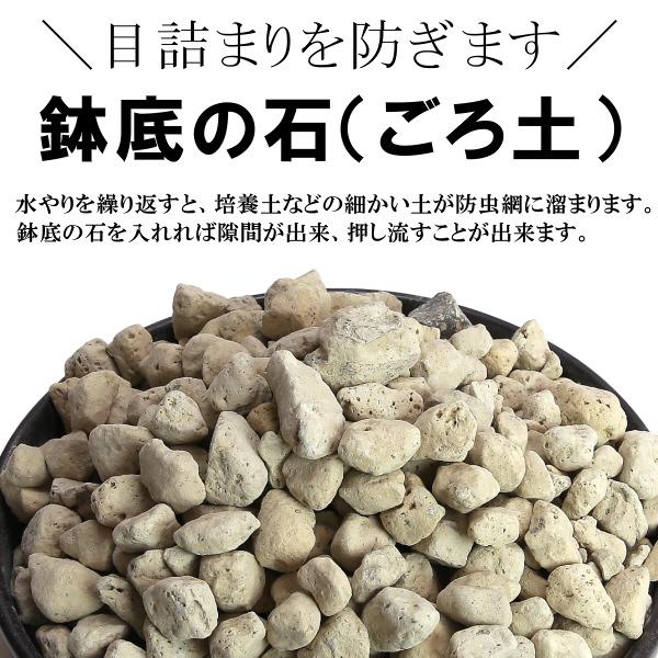 鉢・プランターで育てる 鉢底の石 ５Ｌ 防虫網入り |  | 04