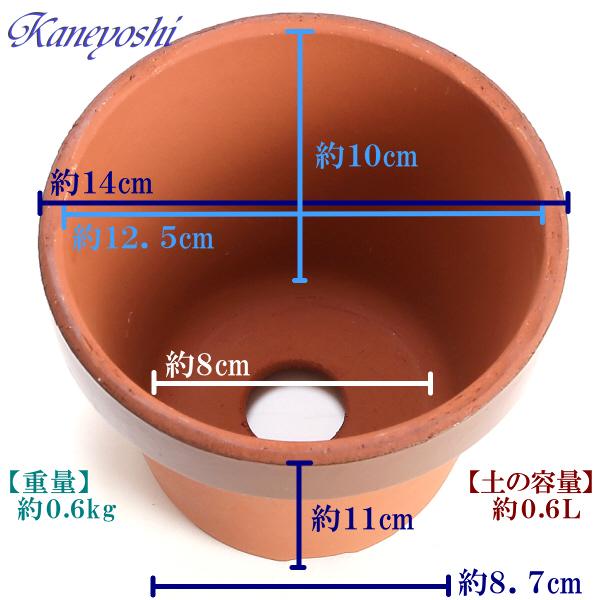 植木鉢 おしゃれ 安い 陶器 サイズ 14cm ダ温鉢 深 4.5号 レンガ色 室内 屋外 テラコッタ 色 国産 日本製 |  | 03