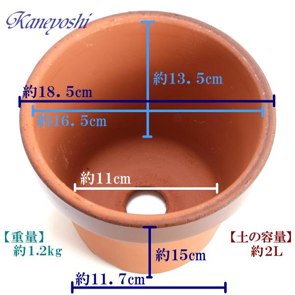 植木鉢 おしゃれ 安い 陶器 サイズ 18cm ダ温鉢 深 6号 レンガ色 室内 屋外 テラコッタ 色 国産 日本製｜docchan｜04