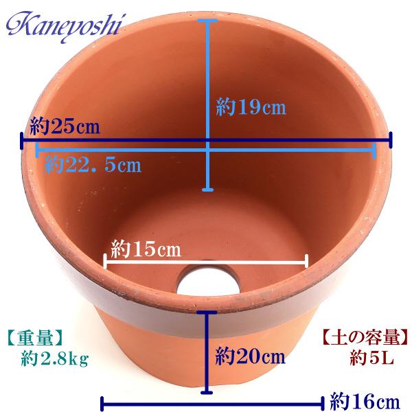 植木鉢 おしゃれ 安い 陶器 サイズ 25cm ダ温鉢 深 8号 レンガ色 室内 屋外 テラコッタ 色 国産 日本製 |  | 03