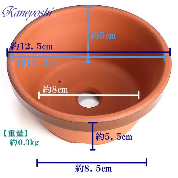 植木鉢 おしゃれ 安い 陶器 サイズ 12cm ダ温鉢 浅 4号 レンガ色 室内 屋外 テラコッタ 色 国産 日本製 |  | 03