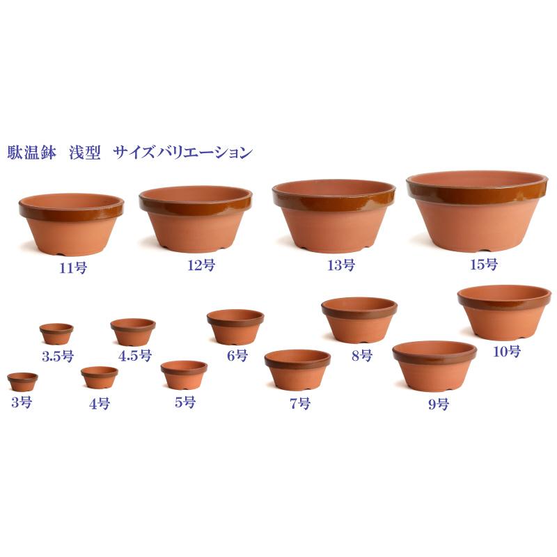 植木鉢 おしゃれ 安い 陶器 サイズ 15cm ダ温鉢 浅 5号 レンガ色 室内 屋外 テラコッタ 色 国産 日本製 |  | 05