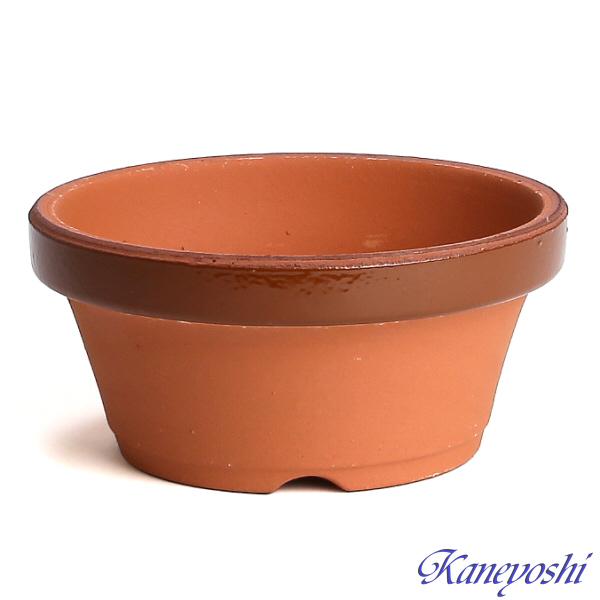 植木鉢 おしゃれ 安い 陶器 サイズ 15cm ダ温鉢 浅 5号 レンガ色 室内 屋外 テラコッタ 色 国産 日本製 |  | 01