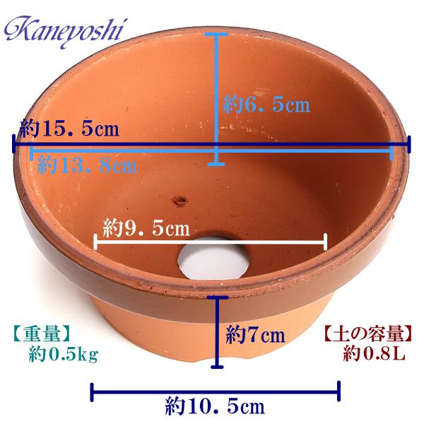 植木鉢 おしゃれ 安い 陶器 サイズ 15cm ダ温鉢 浅 5号 レンガ色 室内 屋外 テラコッタ 色 国産 日本製 |  | 03