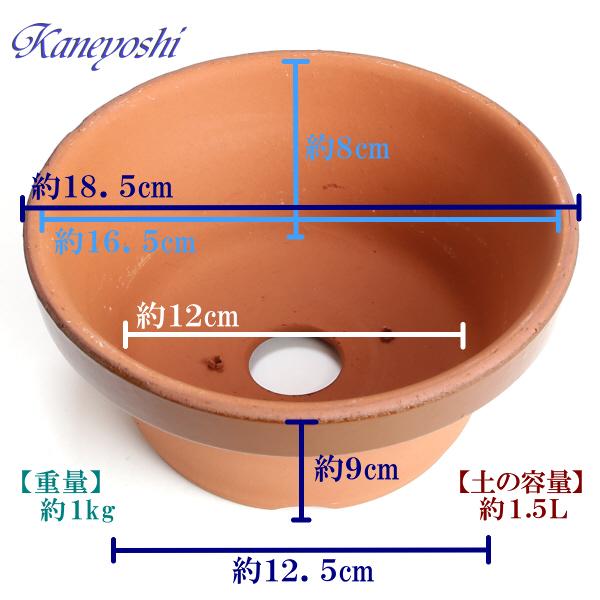 植木鉢 おしゃれ 安い 陶器 サイズ 18cm ダ温鉢 浅 6号 レンガ色 室内 屋外 テラコッタ 色 国産 日本製｜docchan｜04