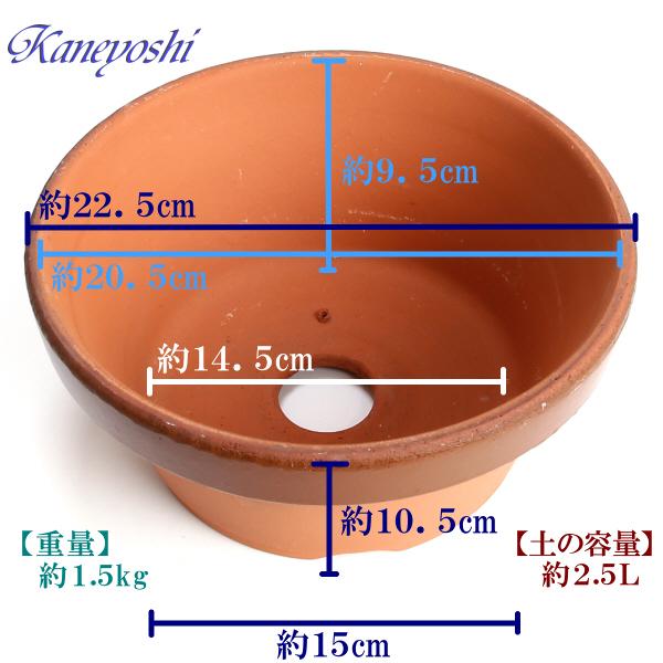 植木鉢 おしゃれ 安い 陶器 サイズ 22cm ダ温鉢 浅 7号 レンガ色 室内 屋外 テラコッタ 色 国産 日本製 |  | 03
