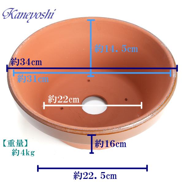 植木鉢 おしゃれ 安い 陶器 サイズ 34cm ダ温鉢 浅 11号 レンガ色 室内 屋外 テラコッタ 色 国産 日本製 |  | 03