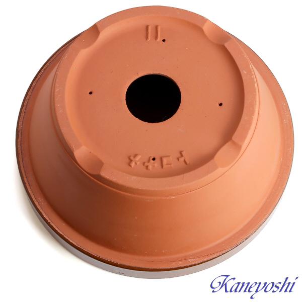 植木鉢 おしゃれ 安い 陶器 サイズ 34cm ダ温鉢 浅 11号 レンガ色 室内 屋外 テラコッタ 色 国産 日本製 |  | 04
