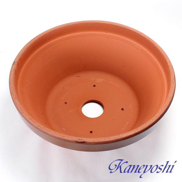 植木鉢 おしゃれ 安い 陶器 サイズ 61cm ダ温鉢 浅 20号 レンガ色 室内 屋外 テラコッタ 色 国産 日本製 |  | 02