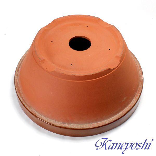 植木鉢 おしゃれ 安い 陶器 サイズ 61cm ダ温鉢 浅 20号 レンガ色 室内 屋外 テラコッタ 色 国産 日本製 |  | 03