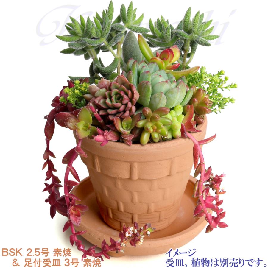 植木鉢 おしゃれ 安い 陶器 サイズ 8cm ＢＳＫ 2.5号 素焼 レンガ色 室内 屋外 テラコッタ 色 国産 日本製 |  | 09
