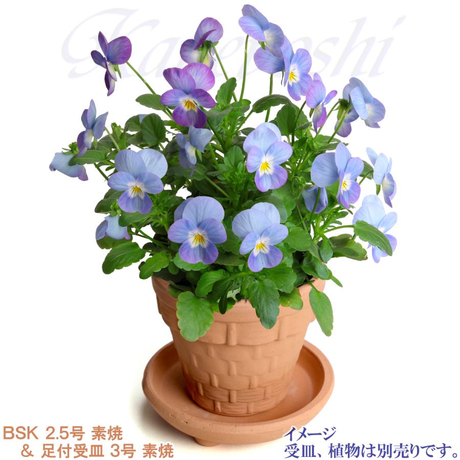 植木鉢 おしゃれ 安い 陶器 サイズ 8cm ＢＳＫ 2.5号 素焼 レンガ色 室内 屋外 テラコッタ 色 国産 日本製 |  | 10