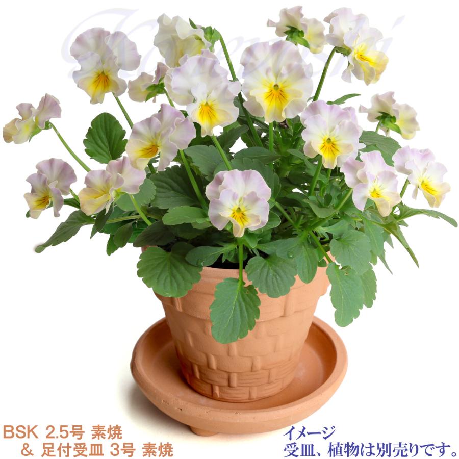 植木鉢 おしゃれ 安い 陶器 サイズ 8cm ＢＳＫ 2.5号 素焼 レンガ色 室内 屋外 テラコッタ 色 国産 日本製 |  | 11