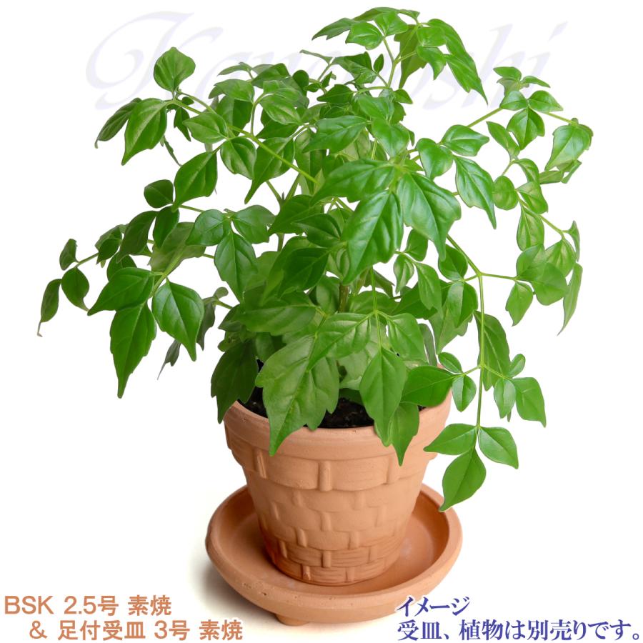 植木鉢 おしゃれ 安い 陶器 サイズ 8cm ＢＳＫ 2.5号 素焼 レンガ色 室内 屋外 テラコッタ 色 国産 日本製 |  | 12