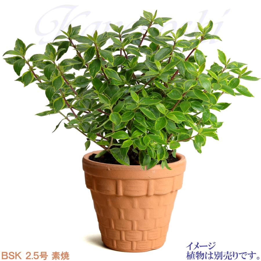 植木鉢 おしゃれ 安い 陶器 サイズ 8cm ＢＳＫ 2.5号 素焼 レンガ色 室内 屋外 テラコッタ 色 国産 日本製 |  | 07