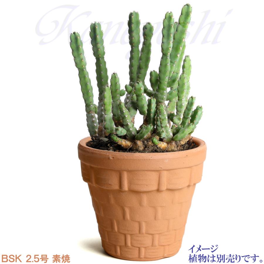 植木鉢 おしゃれ 安い 陶器 サイズ 8cm ＢＳＫ 2.5号 素焼 レンガ色 室内 屋外 テラコッタ 色 国産 日本製 |  | 08