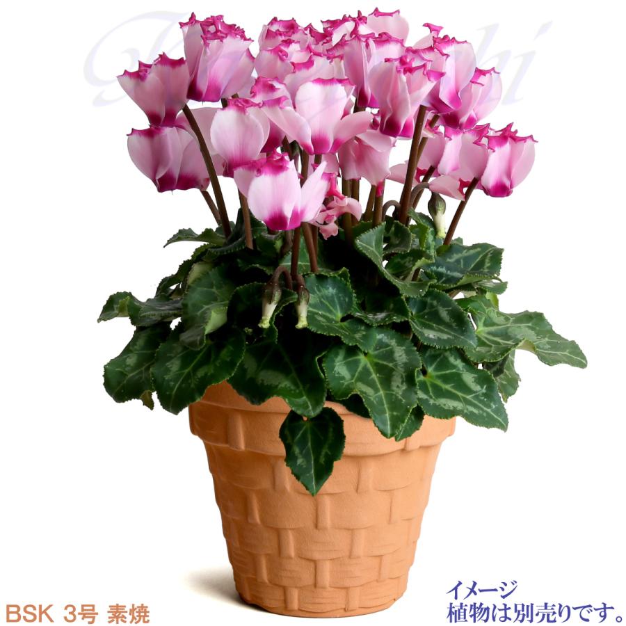 植木鉢 おしゃれ 安い 陶器 サイズ 9.5cm ＢＳＫ 3号 素焼 レンガ色 室内 屋外 テラコッタ 色 国産 日本製 |  | 09