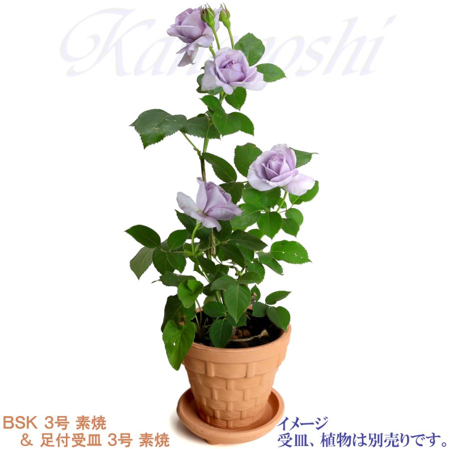 植木鉢 おしゃれ 安い 陶器 サイズ 9.5cm ＢＳＫ 3号 素焼 レンガ色 室内 屋外 テラコッタ 色 国産 日本製 |  | 10