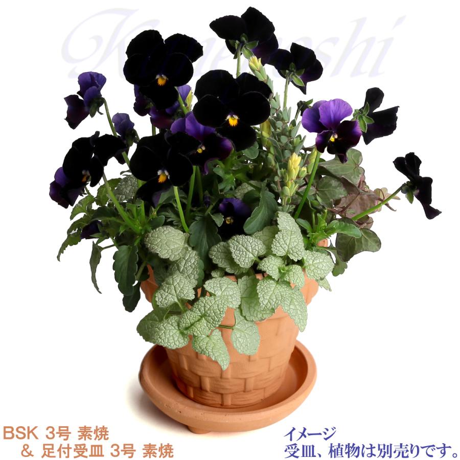 植木鉢 おしゃれ 安い 陶器 サイズ 9.5cm ＢＳＫ 3号 素焼 レンガ色 室内 屋外 テラコッタ 色 国産 日本製 |  | 11