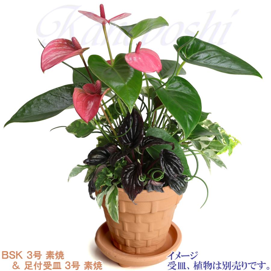 植木鉢 おしゃれ 安い 陶器 サイズ 9.5cm ＢＳＫ 3号 素焼 レンガ色 室内 屋外 テラコッタ 色 国産 日本製 |  | 12