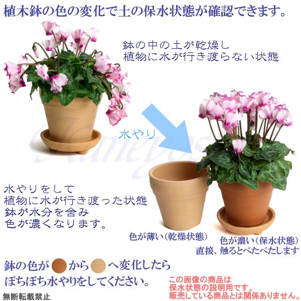 植木鉢 おしゃれ 安い 陶器 サイズ 9.5cm ＢＳＫ 3号 素焼 レンガ色 室内 屋外 テラコッタ 色 国産 日本製 |  | 19