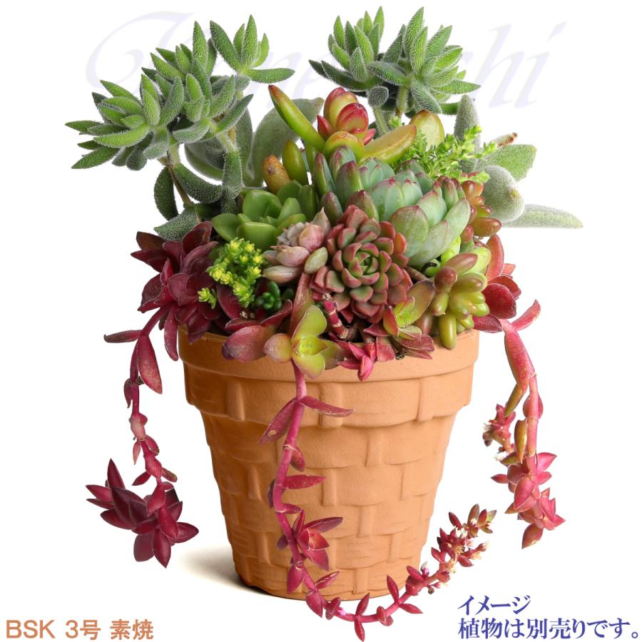 植木鉢 おしゃれ 安い 陶器 サイズ 9.5cm ＢＳＫ 3号 素焼 レンガ色 室内 屋外 テラコッタ 色 国産 日本製 |  | 07