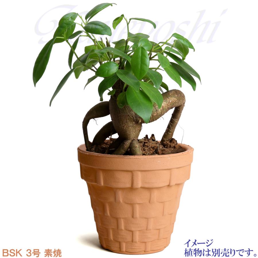 植木鉢 おしゃれ 安い 陶器 サイズ 9.5cm ＢＳＫ 3号 素焼 レンガ色 室内 屋外 テラコッタ 色 国産 日本製 |  | 08