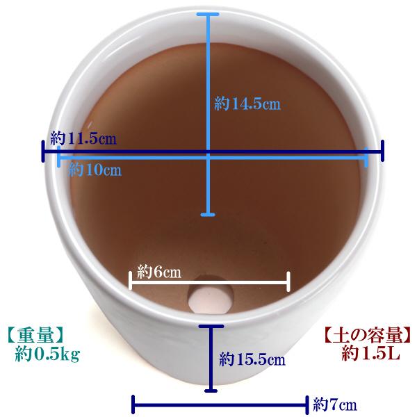 植木鉢 おしゃれ 安い 陶器 サイズ 11.5cm ロイヤルローズポット 3.5号 ホワイト 室内 屋外 白 色 |  | 03