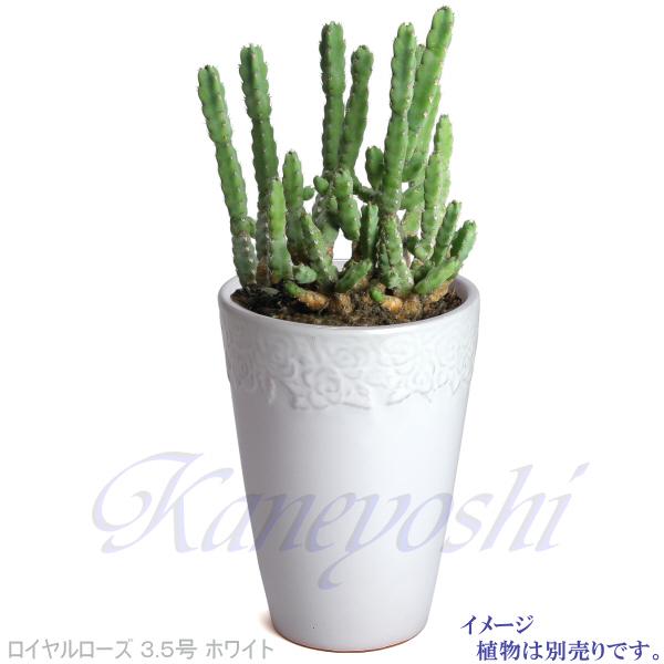 植木鉢 おしゃれ 安い 陶器 サイズ 11.5cm ロイヤルローズポット 3.5号 ホワイト 室内 屋外 白 色 |  | 05