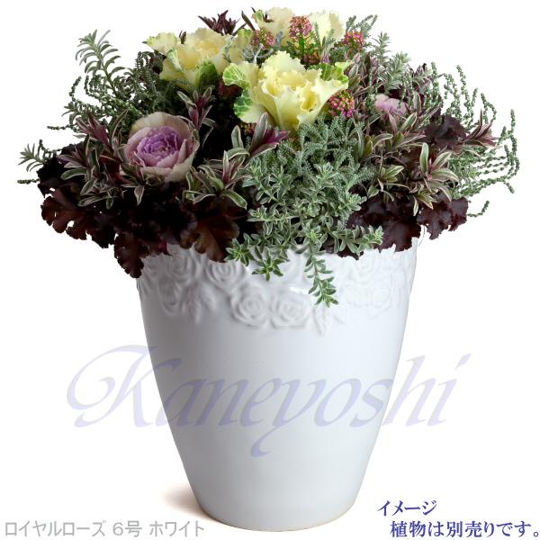 植木鉢 おしゃれ 安い 陶器 サイズ 18cm ロイヤルローズポット 6号