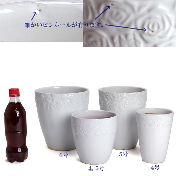 植木鉢 おしゃれ 安い 陶器 サイズ 18cm ロイヤルローズポット 6号