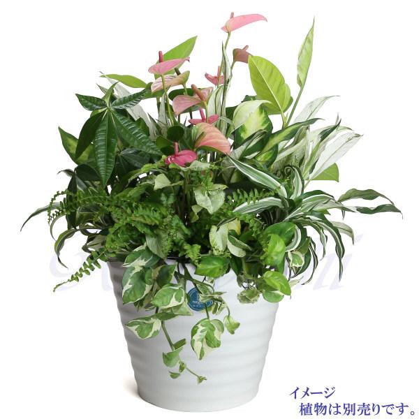 植木鉢　おしゃれ　プラスチック製　エコ　軽量　大型　丸　サイズ　３２ｃｍ　ジュプラ　１１号　ライスホワイト |  | 05