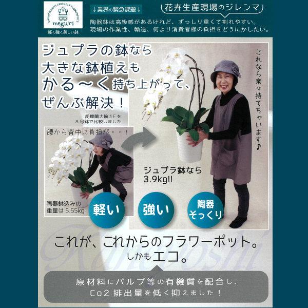 植木鉢　おしゃれ　プラスチック製　エコ　軽量　大型　丸　サイズ　３２ｃｍ　ジュプラ　１１号　ライスホワイト |  | 07