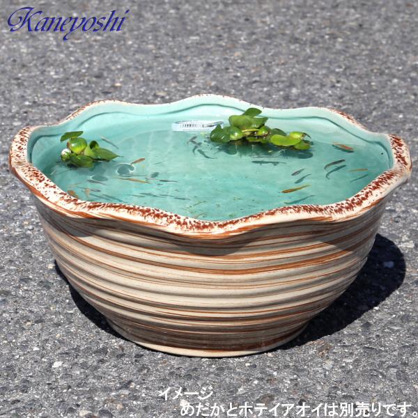 睡蓮鉢 めだか鉢 水鉢 陶器 おしゃれ 大型 サイズ 40cm 睡蓮鉢 めだか鉢 水鉢 陶器 おしゃれ 大型 サイズ 40cm